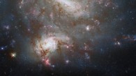 This Hubble image shows the galaxy pair NGC 4496. The color image is composed of infrared, optical and ultraviolet observations from Hubble’s Wide Field Camera 3 (WFC3), the Dark Energy Camera (DECam) on the Victor M. Blanco 4-m Telescope, and the Sloan Digital Sky Survey (SDSS). Nine filters were used to sample various wavelengths. The color results from assigning different hues to each monochromatic image associated with an individual filter. Image credit: NASA / ESA / Hubble / T. Boeker / B. Holwerda / Dark Energy Survey / DOE / FNAL / DECam / CTIO / NOIRLab / NSF / AURA / SDSS / R. Colombari.
