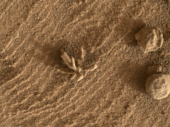 This image from the MAHLI camera on NASA’s Curiosity Mars rover shows flower-like and spherical rock artifacts on the surface of the Gale crater on Mars. Image credit: NASA / JPL-Caltech / MSSS.