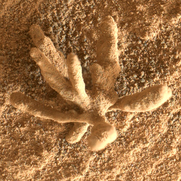 This MAHLI image shows a tighter view of the flower-like rock artifact. Image credit: NASA / JPL-Caltech / MSSS.