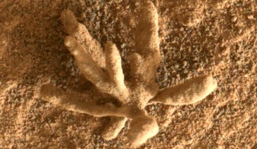 This MAHLI image shows a tighter view of the flower-like rock artifact. Image credit: NASA / JPL-Caltech / MSSS.