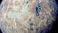 Coelho et al. provide a guide for the search for surface life on icy worlds based on biota from Earth’s icy environments. Image credit: Jack Madden.