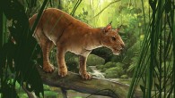 Life reconstruction of Diegoaelurus vanvalkenburghae. Image credit: San Diego Natural History Museum.