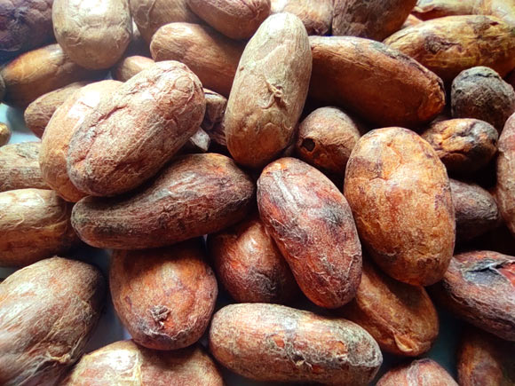 Sesso et al. examined whether cocoa extract supplementation decreases total cardiovascular disease among older adults. Image credit: Sci-News.com.