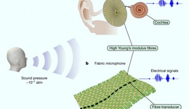 Yan et al. designed an acoustic fabric, woven with a fiber that is designed from a piezoelectric material that produces an electrical signal when bent or mechanically deformed: (a) the tympanic membrane is a four-layer construct composed of circumferentially and radially oriented high-modulus collagen fibers, which are key for sound conduction; the tympanic membrane motion is ultimately transmitted to the cochlea through the ossicular chain, wherein short cilia fibers convert pressure waves into electrical signals (ionic), which are picked up by the nervous system; (b) in the acoustic fabric, high-modulus Twaron yarns and cotton yarns are oriented at right angles, mimicking the construction of the tympanic membrane; this construction converts faint audible frequency sound pressure waves into low-order mechanical vibration modes; within that same medium, a single strand of piezoelectric elastomeric fiber transducer is woven, leading to a synergistically coupled fabric, where sound transduction is a collective effect; this results in a fabric capable of operating as a sensitive microphone that detects weak sound signals (for example, human speech) as low as 10-7 atm. Image credit: Yan et al., doi: 10.1038/s41586-022-04476-9.