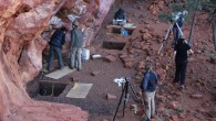 Wattle and other acacias were found at the oldest archaeological site on the land of the Martu in the Australian Western Desert. Image credit: University of Western Australia.