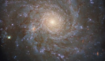This Hubble image shows the spiral galaxy NGC 4571. Image credit: NASA / ESA / Hubble / J. Lee / PHANGS-HST Team.