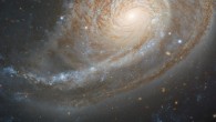 The overdeveloped spiral arm of the galaxy NGC 772 dominates this image from the Gemini North telescope. Image credit: Gemini Observatory / NOIRLab / NSF / AURA / T.A. Rector, University of Alaska Anchorage / J. Miller, Gemini Observatory & NSF’s NOIRLab / M. Zamani / D. de Martin.