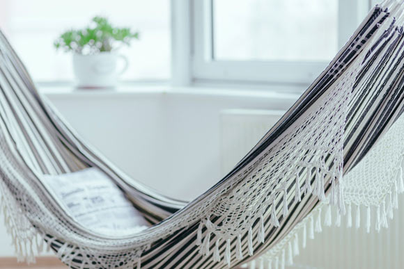 Daytime napping and cognition may drive each other’s changes bidirectionally. Image credit: StockSnap.