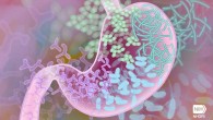 Boolani et al. suggest that energy and fatigue are unique traits that could be defined by distinct bacterial communities not driven by diet. Image credit: Darryl Leja, National Human Genome Research Institute, National Institutes of Health.