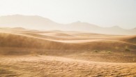 Louge et al. show how water vapor penetrates powders and grains. Image credit: Pexels.