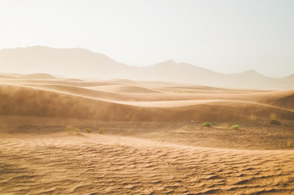 Louge et al. show how water vapor penetrates powders and grains. Image credit: Pexels.