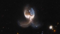 This Hubble image shows the VV 689 system. The color image is composed of infrared, optical and ultraviolet observations from Hubble’s Advanced Camera for Surveys (ACS), the Dark Energy Camera (DECam) on the Victor M. Blanco 4-m Telescope, and the Sloan Digital Sky Survey (SDSS). Nine filters were used to sample various wavelengths. The color results from assigning different hues to each monochromatic image associated with an individual filter. Image credit: NASA / ESA / Hubble / W. Keel / Judy Schmidt, www.geckzilla.com.