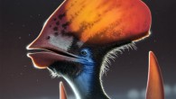 An artist’s reconstruction of Tupandactylus imperator, showing the feather types along the bottom of the headcrest: dark monofilaments and lighter-colored branched feathers. Image credit: Bob Nicholls.