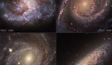 The four galaxies shown in this graphic are among 29 galaxies in the sample that showed evidence for growing black holes near their centers. X-rays from Chandra (blue) have been overlaid on optical images from the NASA/ESA Hubble Space Telescope of the galaxies NGC 1385, NGC 1566, NGC 3344, and NGC 6503. The boxes that appear in the roll-over outline the location of the burgeoning black holes. Image credit: NASA / CXC / Washington State University / Baldassare et al. / ESA / STScI.