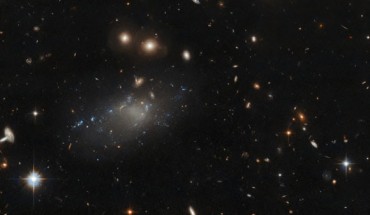 This Hubble image shows GAMA 526784, an ultra-diffuse galaxy some 4 billion light-years away in the constellation of Hydra. Image credit: NASA / ESA / Hubble / R. van der Burg / L. Shatz.