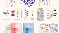 Machine learning guided predictions improve enzyme performance across PETase scaffolds. Image credit: Lu et al., doi: 10.1038/s41586-022-04599-z.