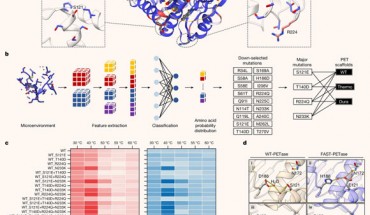Machine learning guided predictions improve enzyme performance across PETase scaffolds. Image credit: Lu et al., doi: 10.1038/s41586-022-04599-z.