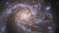 This Hubble image shows Messier 99, a spiral galaxy some 42 million light-years away in the constellation of Coma Berenices. The Hubble data was taken with the Wide Field Camera 3 (WFC3). The color composite was assembled from images taken in ultraviolet, visible, and near-infrared light. It is based on data obtained through five filters. The color results from assigning different hues to each monochromatic image associated with an individual filter. Image credit: NASA / ESA / Hubble / M. Kasliwal / J. Lee / PHANGS-HST Team.