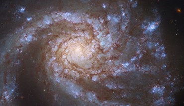 This Hubble image shows Messier 99, a spiral galaxy some 42 million light-years away in the constellation of Coma Berenices. The Hubble data was taken with the Wide Field Camera 3 (WFC3). The color composite was assembled from images taken in ultraviolet, visible, and near-infrared light. It is based on data obtained through five filters. The color results from assigning different hues to each monochromatic image associated with an individual filter. Image credit: NASA / ESA / Hubble / M. Kasliwal / J. Lee / PHANGS-HST Team.