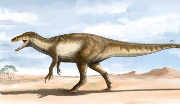 Life reconstruction of Maip macrothorax. Image credit: Agustín Ozán.