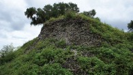 Mound A made almost entirely of oyster at the Crystal River site, Florida Gulf Coast, which is estimated to contain 20-30 million oysters which accumulated between 1,330 and 800 years ago. It covered at least 9,000 m2, even after approximately 1/3 of the mound was destroyed during the historical period. At its highest point, the mound stood 9 m above the surrounding landscape. Image credit: Victor Thompson.