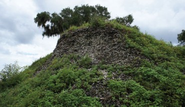 Mound A made almost entirely of oyster at the Crystal River site, Florida Gulf Coast, which is estimated to contain 20-30 million oysters which accumulated between 1,330 and 800 years ago. It covered at least 9,000 m2, even after approximately 1/3 of the mound was destroyed during the historical period. At its highest point, the mound stood 9 m above the surrounding landscape. Image credit: Victor Thompson.
