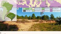 (A) location map of the Linha São Luiz site in Brazil and the surface distribution of the geologic units in the area; (B) general view of the Linha São Luiz site; (C) hypothetical reconstruction of the skeleton of Faxinalipterus minimus depicting in orange the preserved elements; (D) hypothetical reconstruction of the skull of Maehary bonapartei depicting some of the preserved elements. Image credit: Kellner et al., doi: 10.7717/peerj.13276.