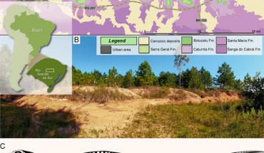 (A) location map of the Linha São Luiz site in Brazil and the surface distribution of the geologic units in the area; (B) general view of the Linha São Luiz site; (C) hypothetical reconstruction of the skeleton of Faxinalipterus minimus depicting in orange the preserved elements; (D) hypothetical reconstruction of the skull of Maehary bonapartei depicting some of the preserved elements. Image credit: Kellner et al., doi: 10.7717/peerj.13276.