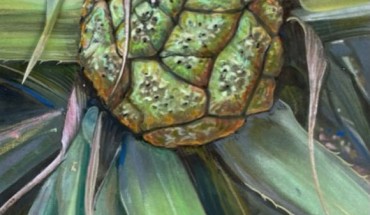 Reconstruction of Pandanus estellae. Image credit: Alison Douglas.