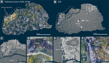 A polished section of the Martian meteorite Miller Range (MIL) 03346: (A) photograph of the interior of MIL 03346,230; note the yellow tint in the left region of the sample, marked by dotted lines; mineral grains in the yellow-tinted region are heavily affected by aqueous alteration; (B) BSE image of the same section as in (A); light gray olivine grains, marked with arrows, are situated in the altered areas; the white boxes show locations for detailed images in (C) to (F); (C) BSE image of the upper left olivine grain, marked with a box in (B); iddingsite veins are cutting through a fractured olivine grain; augite grains and a fine-grained mesostasis (dark gray) containing titanomagnetite (bright, skeletal grains) are also shown in the figure; (D) photograph of the upper left olivine grain, same as in (C); iddingsite veins have a dark red color; (E) BSE image showing details of the upper right olivine grain; the grain is fractured and crosscut by iddingsite veins that are predominantly oriented east to west in the image; (F) photograph of the same grain as in (E), where the dark red iddingsite veins have been outlined. Image credit: Martell et al., doi: 10.1126/sciadv.abn3044.