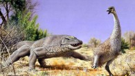 Illustration of Genyornis newtoni being hunted by a giant lizard in Australia about 50,000 years ago. Image credit: Peter Trusler, Monash University.