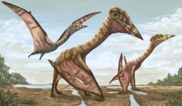 Life reconstruction of Thanatosdrakon amaru. Image credit: Universidad Nacional de Cuyo.