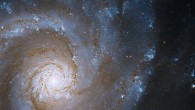 This Hubble image shows NGC 3631, a grand design spiral galaxy some 53 million light-years away in the constellation of Ursa Major. Image credit: NASA / ESA / A. Filippenko, University of California, Berkeley / D. Sand, University of Arizona / G. Kober, NASA’s Goddard Space Flight Center / Catholic University of America.