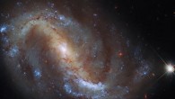 This Hubble image shows NGC 7496, a barred spiral galaxy some 24 million light-years away in the constellation of Grus. Image credit: NASA / ESA / Hubble / J. Lee / PHANGS-HST Team / Judy Schmidt, www.geckzilla.com.