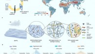 Atmospheric water harvesting (AWH) technology and design principle of super hygroscopic polymer films (SHPFs): (a) key steps of AWH technology; (b) geographic distribution of world average annual relative humidity; regions with less than 40% relative humidity are indicated from brown to red (warm color) regions; (c) material design of SHPFs for AWH at low relative humidity; (d) qualitative comparison of different materials in terms of core requirements for practical application of AWH. Image credit: Guo et al., doi: 10.1038/s41467-022-30505-2.