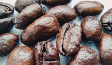 Higher coffee intake is associated with a lower risk of incident acute kidney injury and could present an opportunity for cardiorenal protection through diet. Image credit: Sci-News.com.