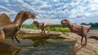Reconstruction of the paleoecosystem of the Upper Cretaceous Bahariya Formation of the Bahariya Oasis, Western Desert of Egypt, showing diversity of large-bodied theropod dinosaurs. In the foreground, the unidentified abelisaurid described herein (right) confronts the spinosaurid Spinosaurus aegyptiacus (left center, with the lungfish Retodus tuberculatus in jaws) and the carcharodontosaurid Carcharodontosaurus saharicus (right center) while two individuals of the stomatosuchid crocodyliform Stomatosuchus inermis (left) look on. In the background, a herd of the titanosaurian sauropod Paralititan stromeri (left) warily regards these theropods and two individuals of the bahariasaurid Bahariasaurus ingens (far right) while a small flock of an undescribed pterosaur soars above. The vegetation is dominated by the mangrove-like tree fern Weichselia reticulata. Image credit: Andrew McAfee, Carnegie Museum of Natural History.