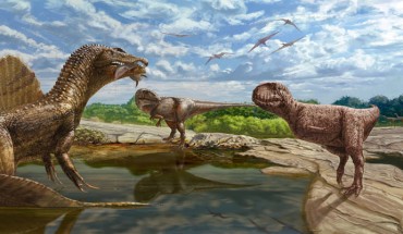 Reconstruction of the paleoecosystem of the Upper Cretaceous Bahariya Formation of the Bahariya Oasis, Western Desert of Egypt, showing diversity of large-bodied theropod dinosaurs. In the foreground, the unidentified abelisaurid described herein (right) confronts the spinosaurid Spinosaurus aegyptiacus (left center, with the lungfish Retodus tuberculatus in jaws) and the carcharodontosaurid Carcharodontosaurus saharicus (right center) while two individuals of the stomatosuchid crocodyliform Stomatosuchus inermis (left) look on. In the background, a herd of the titanosaurian sauropod Paralititan stromeri (left) warily regards these theropods and two individuals of the bahariasaurid Bahariasaurus ingens (far right) while a small flock of an undescribed pterosaur soars above. The vegetation is dominated by the mangrove-like tree fern Weichselia reticulata. Image credit: Andrew McAfee, Carnegie Museum of Natural History.