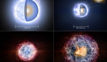 Top left: a giant blue star, much more massive than our Sun, has consumed, through nuclear fusion at its center, all its hydrogen, helium, and heavier elements up to iron. It now has a small iron core (red dot) at its center. Unlike the earlier stages of fusion, the fusion of iron atoms absorbs, rather than releases, energy. The fusion-released energy that has held up the star against its own weight now is gone, and the star will quickly collapse, triggering a supernova explosion. Top right: the collapse has begun, producing a superdense neutron star with a strong magnetic field at its center (inset). The neutron star, though containing about 1.5 times the mass of the Sun, is only about the size of Manhattan. Bottom left: the supernova explosion has ejected a fast-moving shell of debris outward into interstellar space. At this stage, the debris shell is dense enough to shroud from view any radio waves coming from the region of the neutron star. Bottom right: As the shell of explosion debris expands over a few decades, it becomes less dense and eventually becomes thin enough that radio waves from inside can escape. This allowed observations by the VLA Sky Survey to detect bright radio emission created as the rapidly spinning neutron star’s powerful magnetic field sweeps through the surrounding space, accelerating charged particles. This phenomenon is called a pulsar wind nebula. Image credit: Melissa Weiss, NRAO / AUI / NSF.