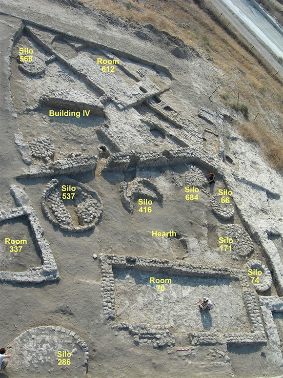 The village of Tel Tsaf, Israel: an overview of Area C with courtyard buildings, comprising rectangular and rounded rooms and rounded silos. Image credit: Y. Garfinkel.