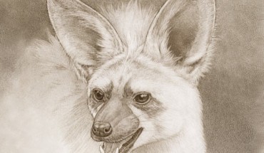 An artist’s reconstruction of Gansuyaena megalotis. Image credit: Mick Ellison.