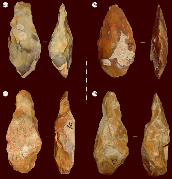 Four of the handaxes recovered from Fordwich Pit during the 1920s. Note that three display thick side profiles, elongated forms, and are relatively lightly worked (reduced) character (i.e. a, c and d could be considered ‘crude’). The fourth (b) is more heavily worked. Image credit: Key et al., doi: 10.1098/rsos.211904.