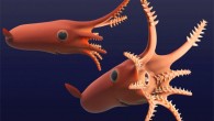 Life reconstruction of Vampyronassa rhodanica. Image credit: Rowe et al., doi: 10.1038/s41598-022-12269-3.