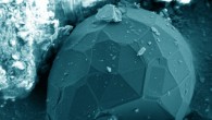SEM image of the carbon crystals in the Chelyabinsk meteoritic dust. Image credit: Taskaev et al., doi: 10.1140/epjp/s13360-022-02768-7.