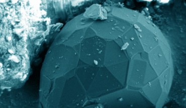 SEM image of the carbon crystals in the Chelyabinsk meteoritic dust. Image credit: Taskaev et al., doi: 10.1140/epjp/s13360-022-02768-7.