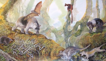 An artist’s impression of Nombe nombe (right) and other prehistoric animals from Nombe Rockshelter, Papua New Guinea. Image credit: Peter Shouten.