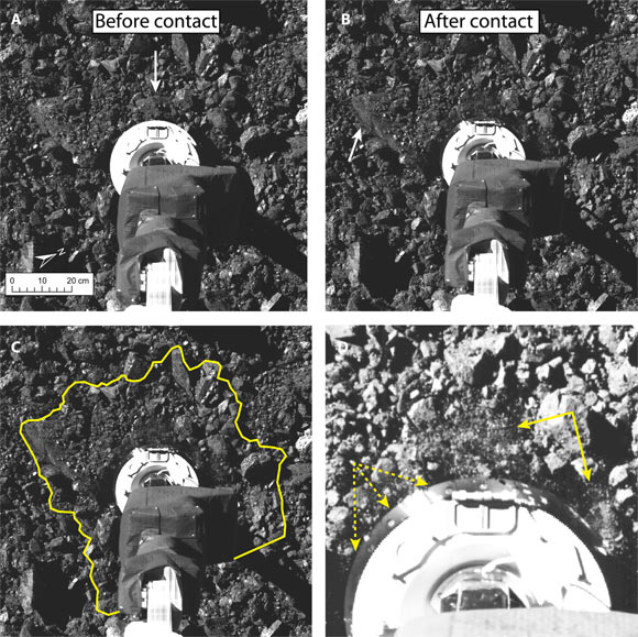 Surface changes around the circumference of TAGSAM: (A) close-up view of the sample collection site just before contact; TAGSAM (round) can be seen at the end of its mechanical arm, and the arrow indicates the 20-cm rock that was first contacted; (B) post-contact image with arrow indicating the lofted debris; (C, D) same image as in (B), with a yellow boundary around the 0.51-m2 area that envelopes surface disturbance (C) and a zoom-in with contrast adjusted to show the lofted debris (solid arrows) and shadows over the lip of the sampler head (dashed arrows) (D). Image credit: Walsh et al., doi: 10.1126/sciadv.abm6229.