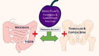 Smith et al. investigated the contribution of polyphenol and carbohydrate components of dried plums on a bone model of postmenopausal osteoporosis to explore their prebiotic activity. Image credit: Smith et al., doi: 10.3390/nu14091685.