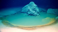 Brine pools are one of the most extreme environments on Earth, yet despite their high salinity, exotic chemistry, and complete lack of oxygen, these pools are teeming with life. Image credit: Purkis et al., doi: 10.1038/s43247-022-00482-x.