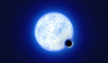 This artist’s impression shows what the binary system VFTS 243 might look like if we were observing it up close. The system, which is located in the Tarantula Nebula in the Large Magellanic Cloud, is composed of a hot, blue star with 25 times the Sun’s mass and a black hole, which is at least nine times the mass of the Sun. The sizes of the two binary components are not to scale: in reality, the blue star is about 200,000 times larger than the black hole. Image credit: ESO / L. Calçada.